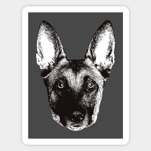 Belgian Malinois - Malinois Christmas Gifts Magnet